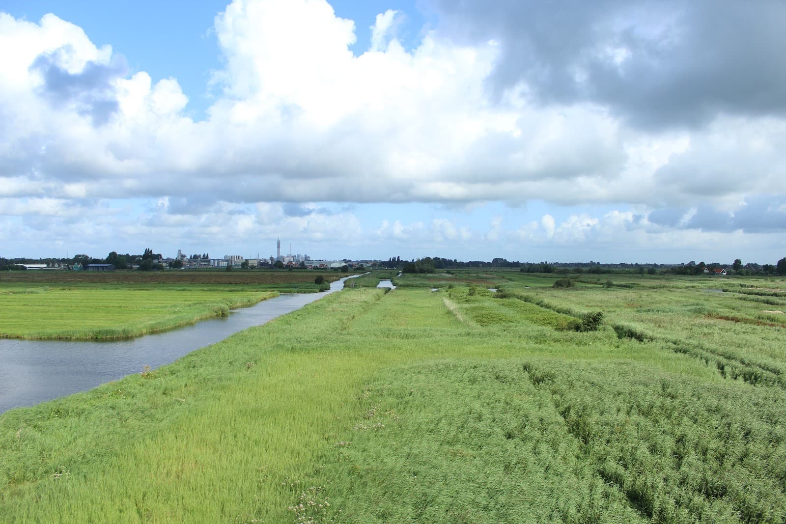 Kalverpolder - Image 1