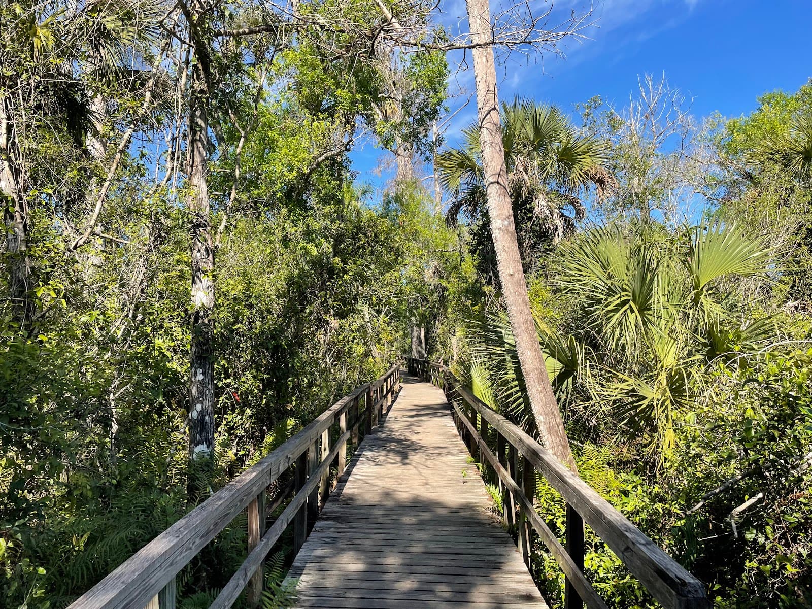 Big Cypress Bend Boardwalk - Image 1