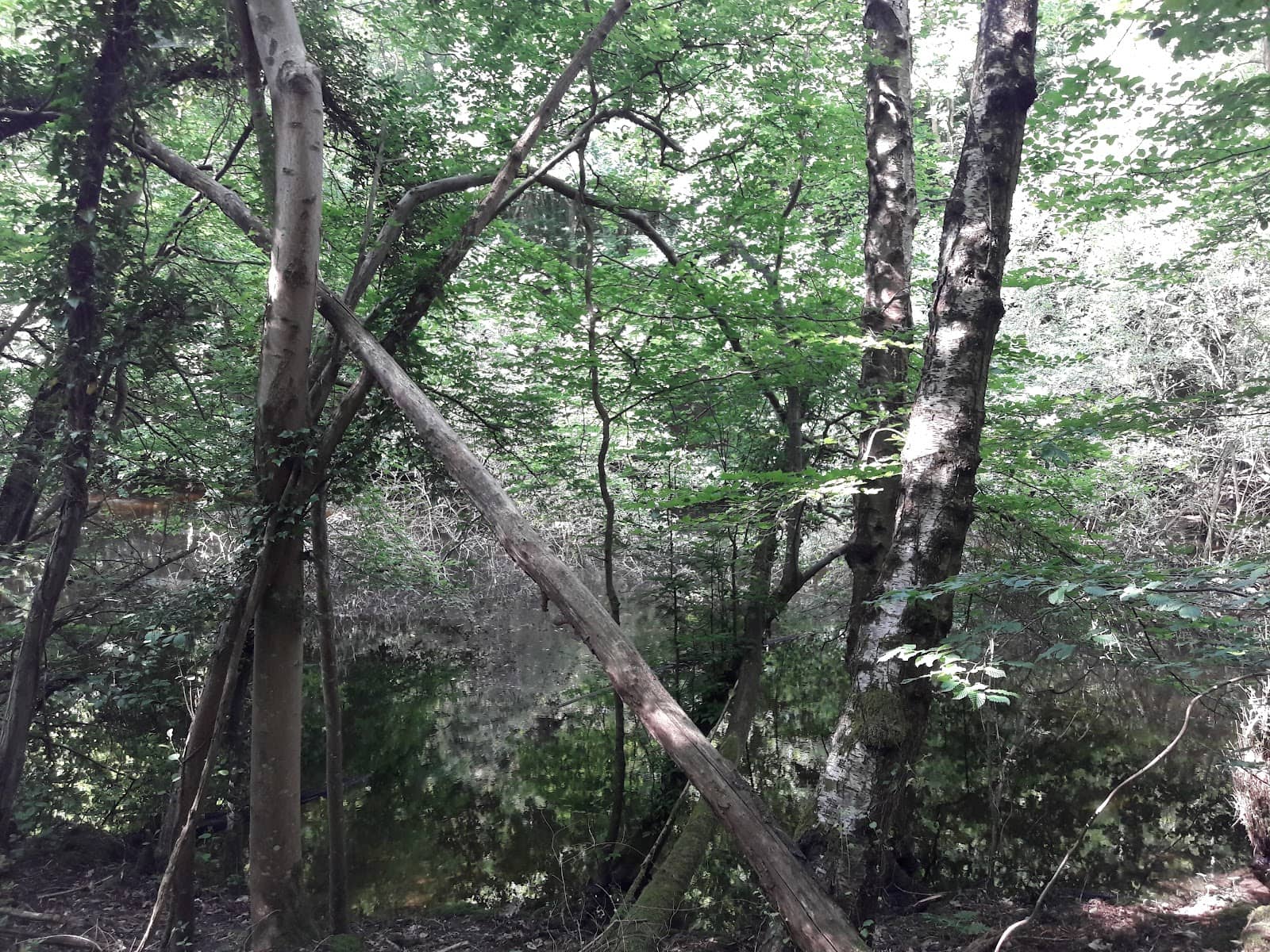 Vertical photo