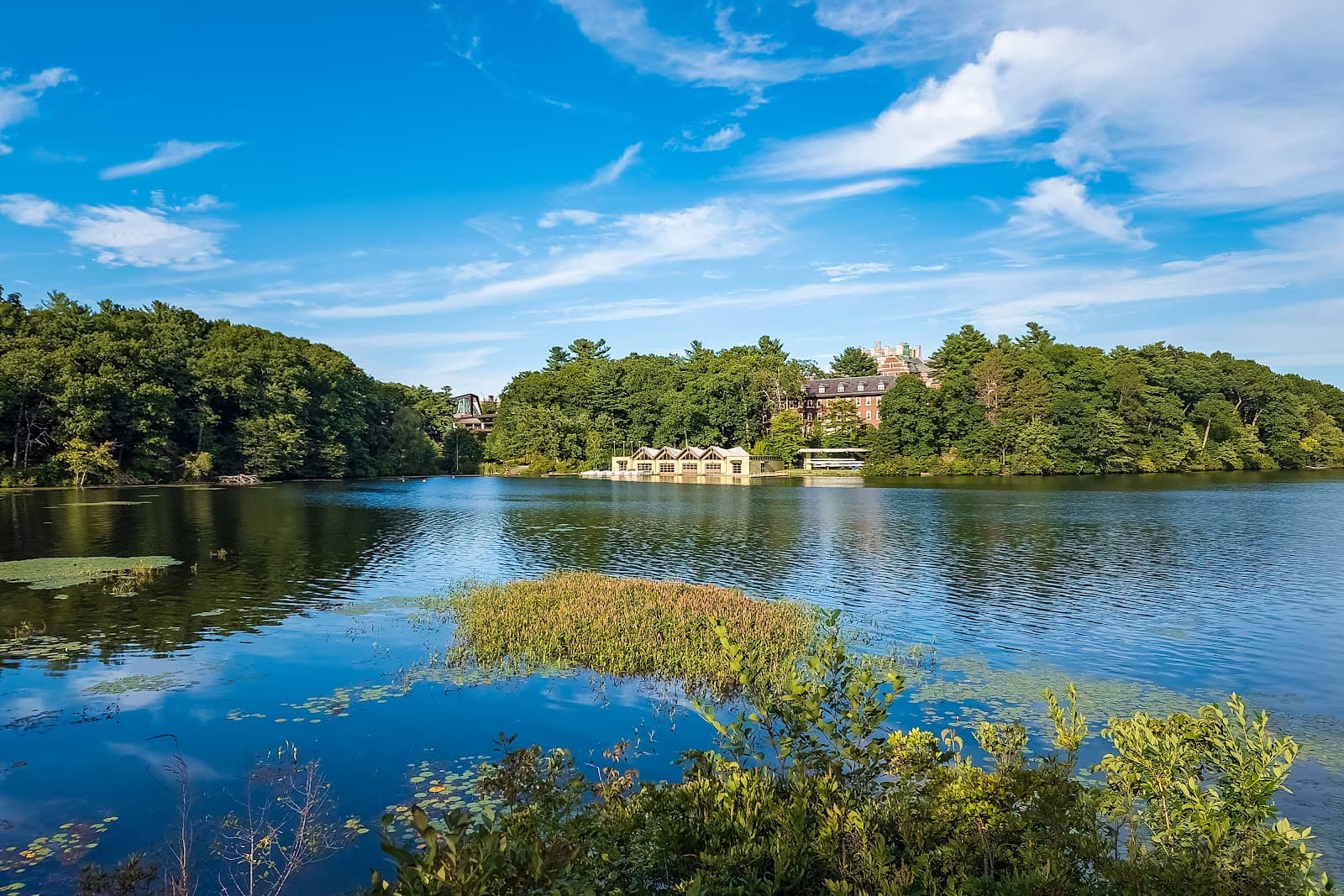 Wellesley College - Image 1