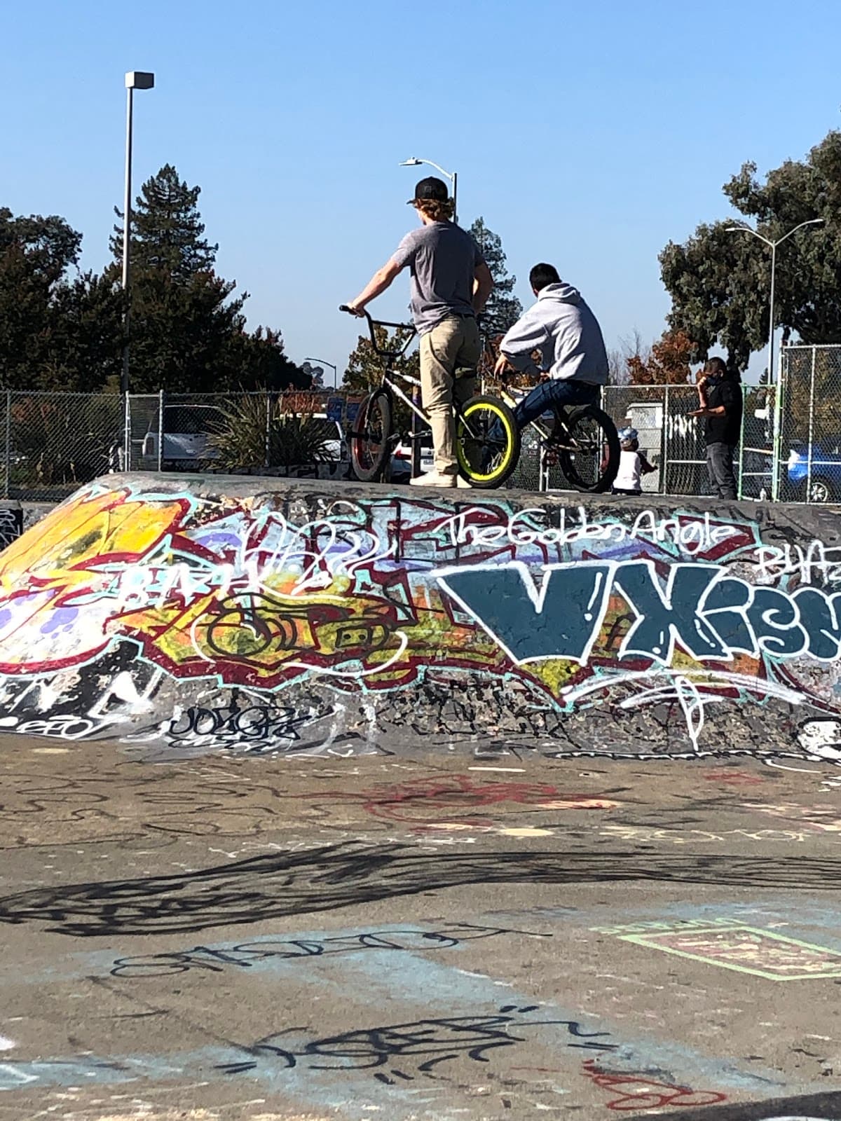 Leghorn Park & Skatepark - Image 1