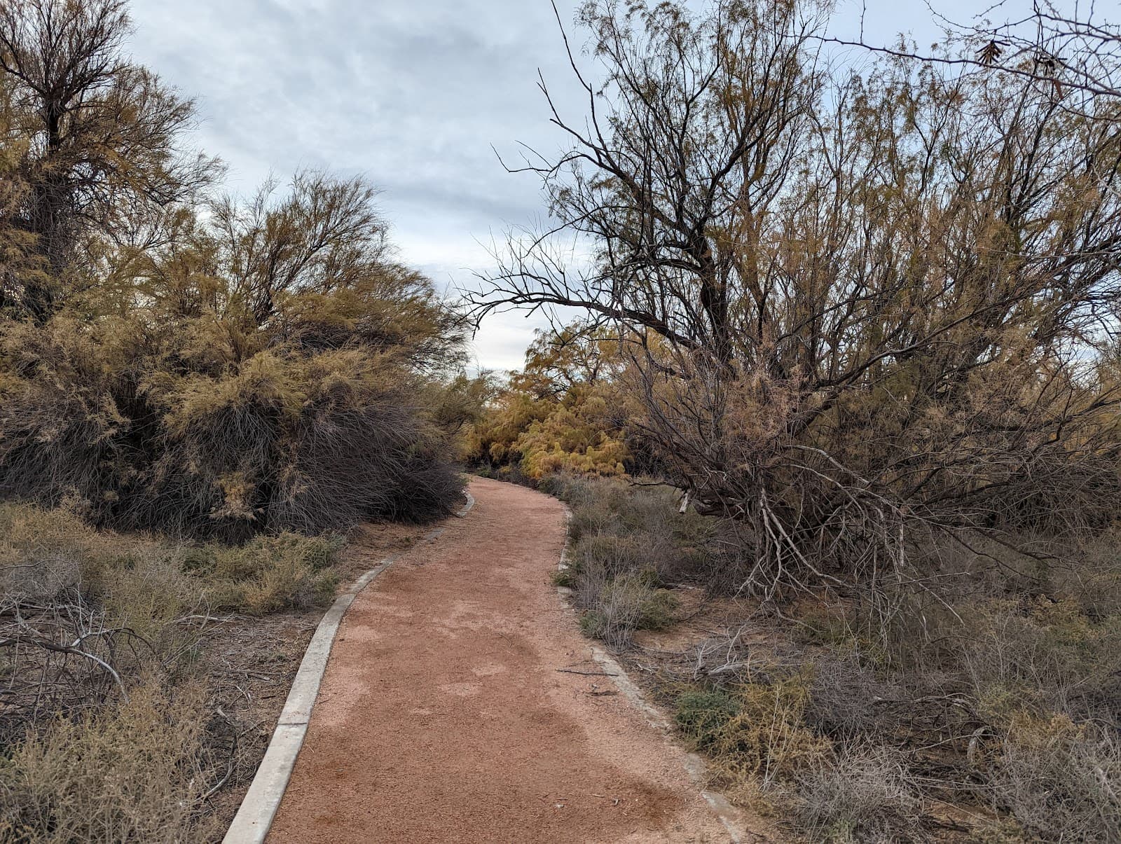 Rio Bosque Wetlands Park - Image 1