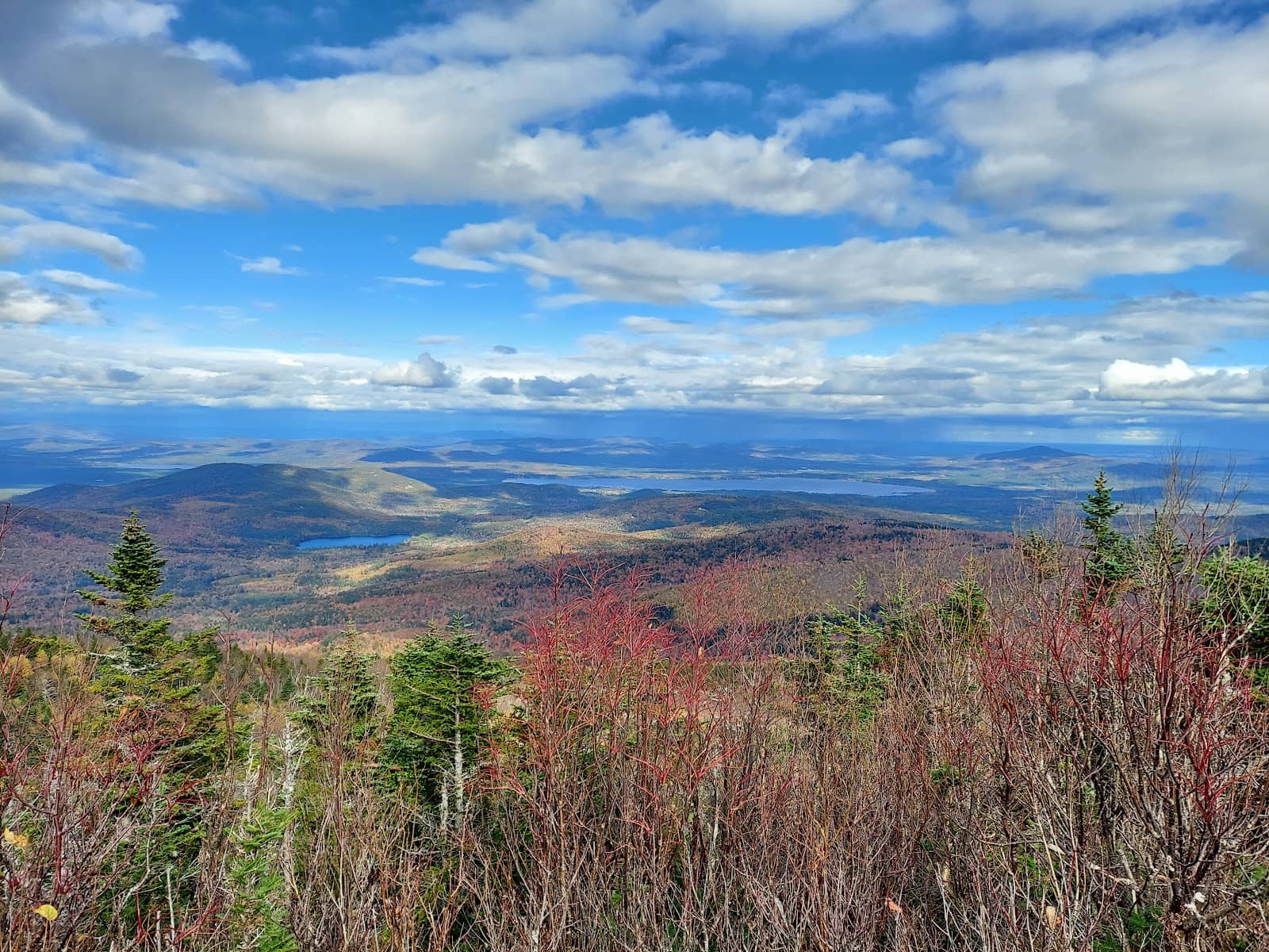 Challenging Loop Options