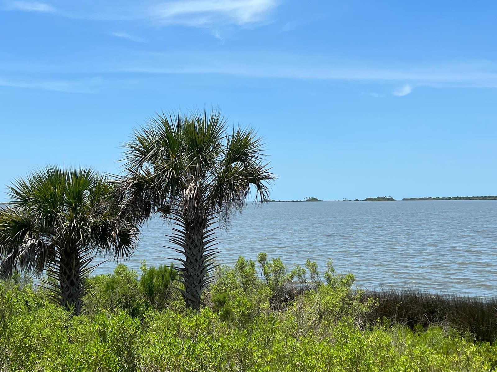 Withlacoochee Bay Trail - Image 1