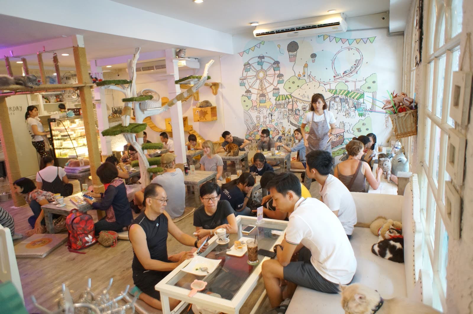 Various Cat Cafes (e.g., Purrfect Cat Cafe) - Image 1