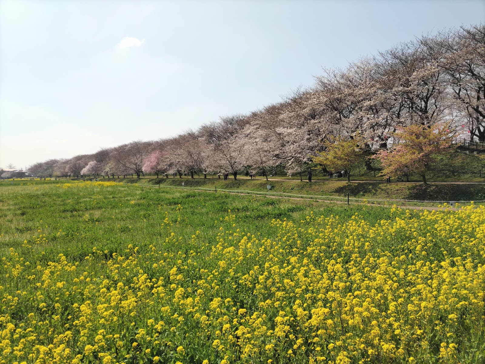 Gongendo Park - Image 1