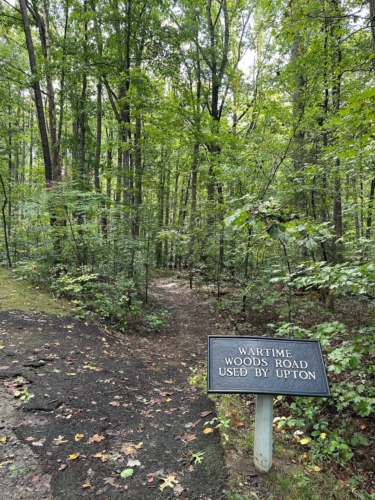 Woodland Wildlife Spotting