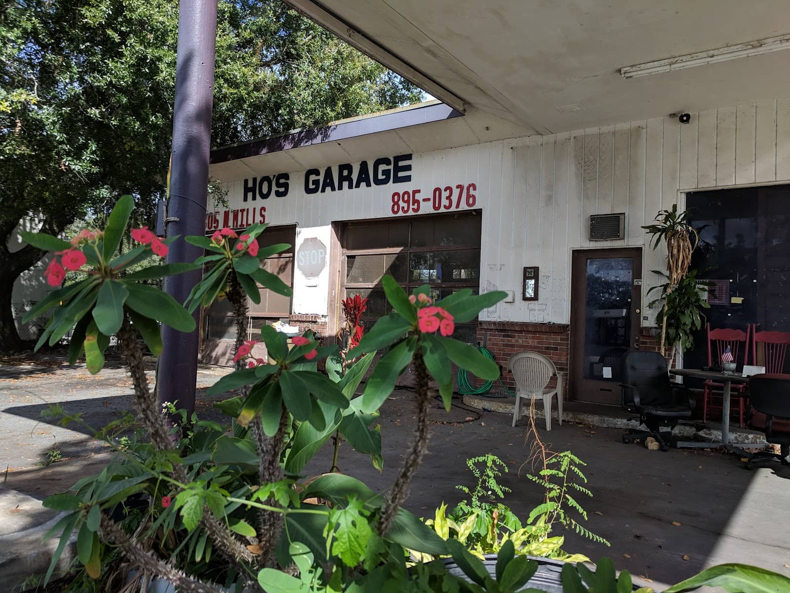 Global Flavors & Local Bites