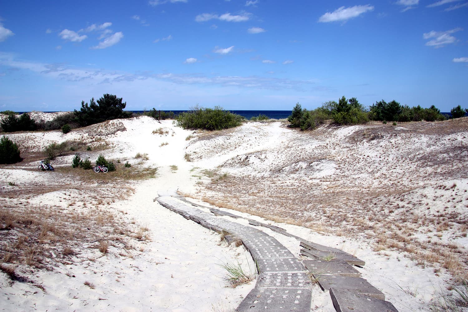 Helskie Wydmy Nature Reserve - Image 1