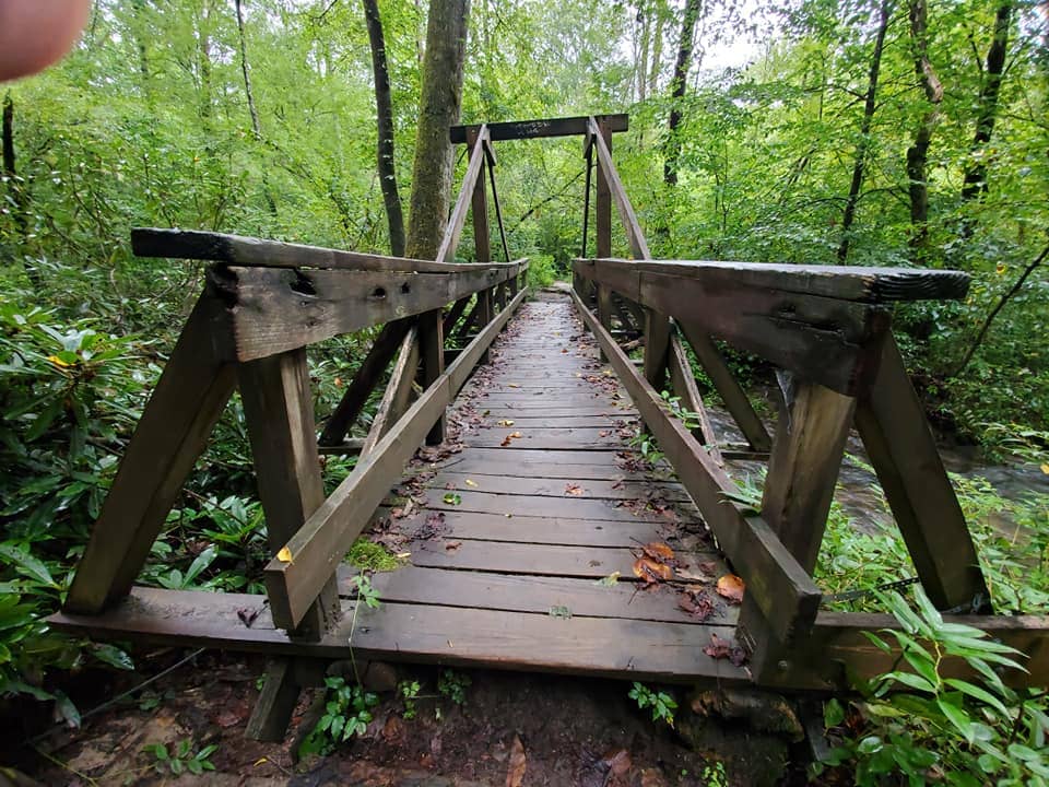 Wildflower & Trillium Blooms