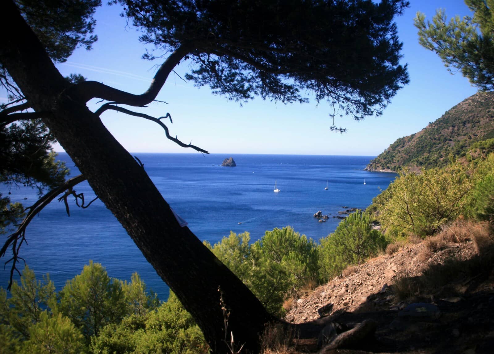 Scenic Hiking Trails