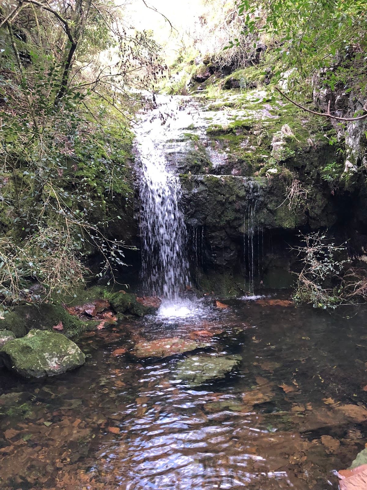 Cerro de las Ánimas - Image 1