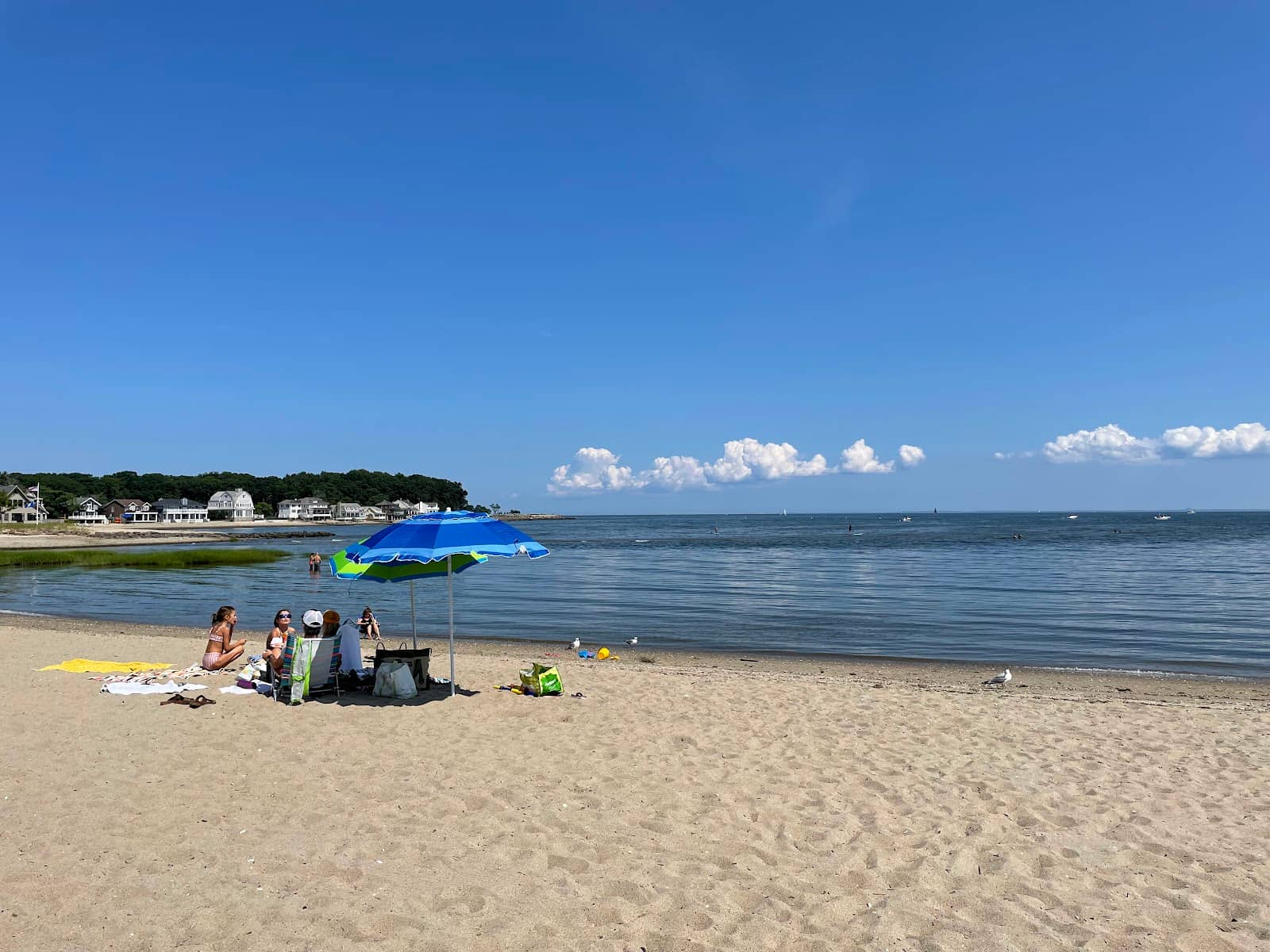 Artistic Inspiration