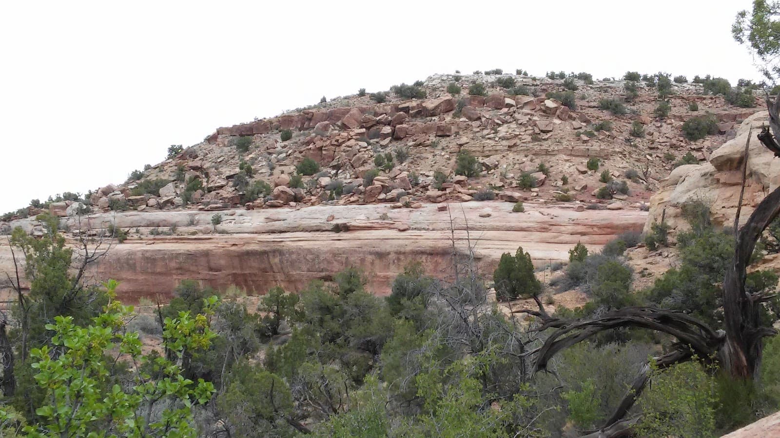 Rabbit Valley Recreation Area - Image 1