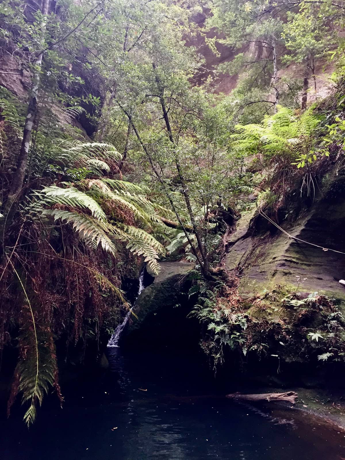 Ancient Rock Shelters