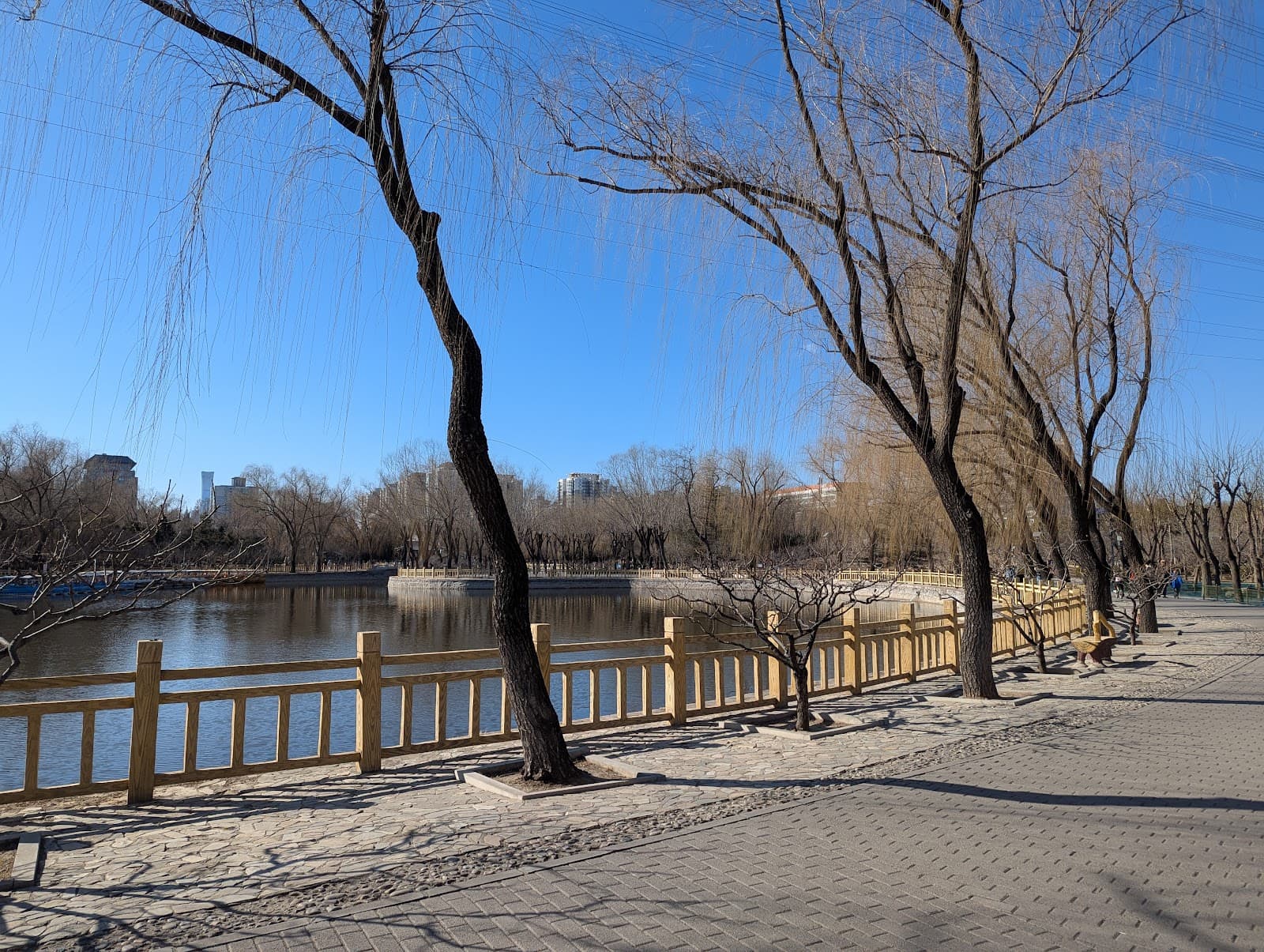 Xinglong Park - Image 1