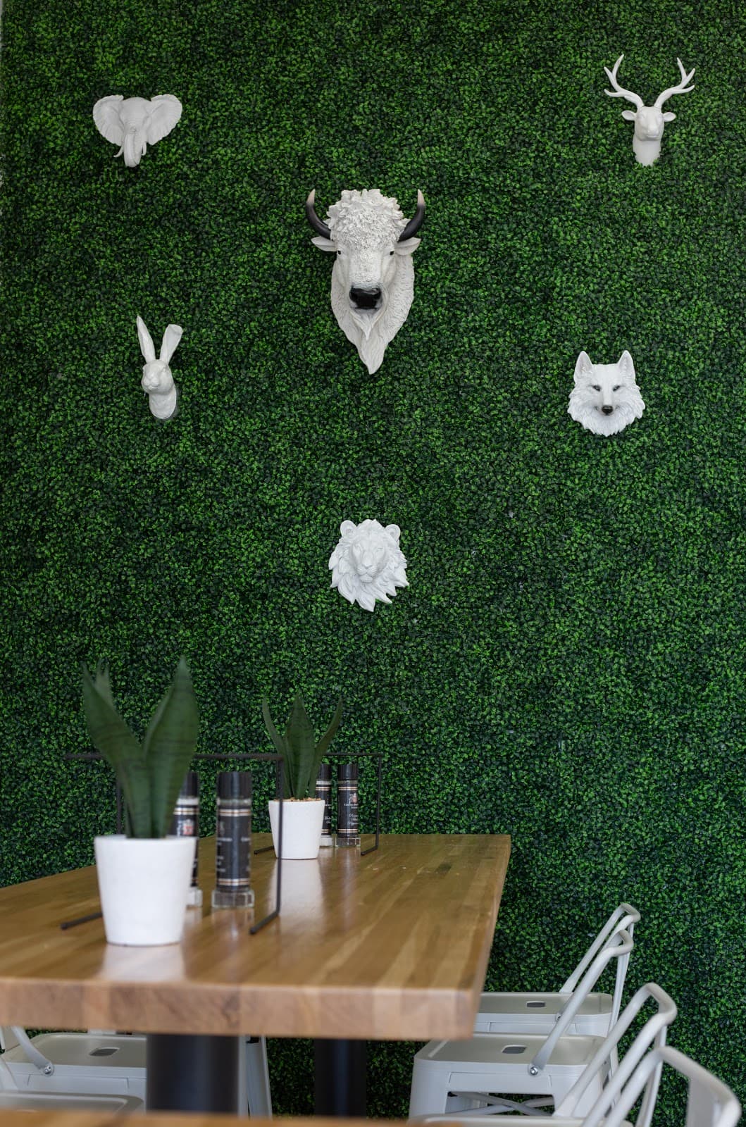 Various Pizzerias in Naples - Image 1