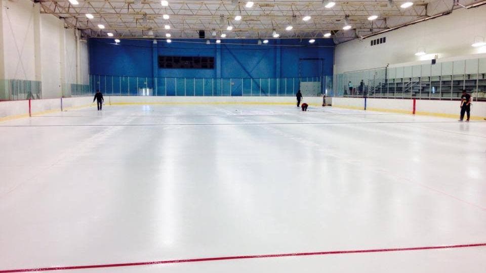 Ice Den Chandler - Image 1