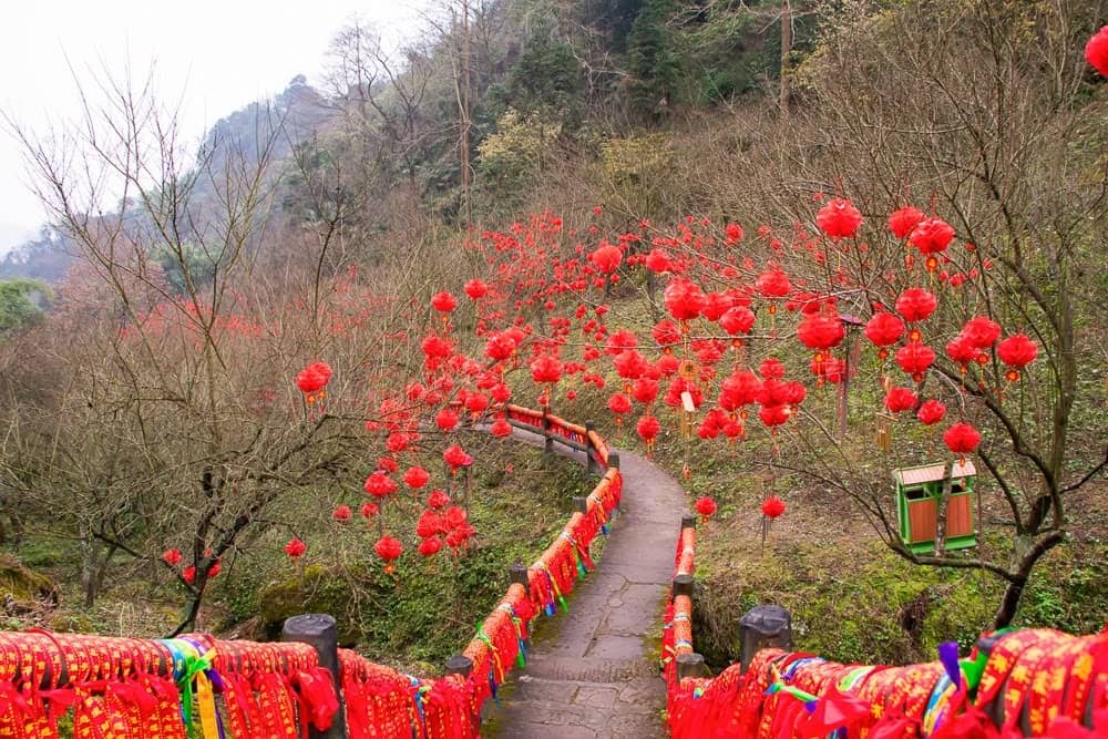 Scenic Hiking Trails