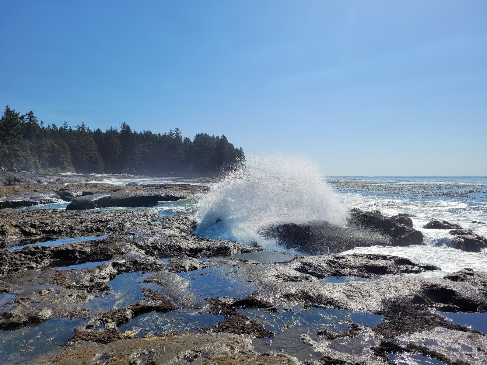 Botany Bay - Image 1