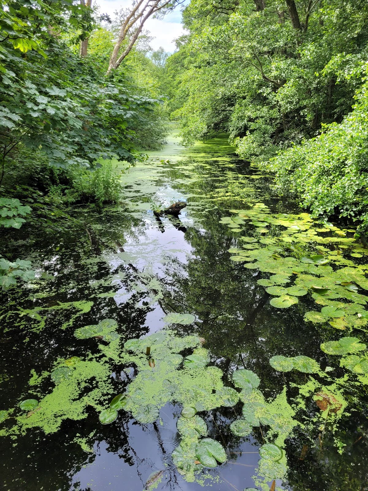 Hindemade Wetlands - Image 1