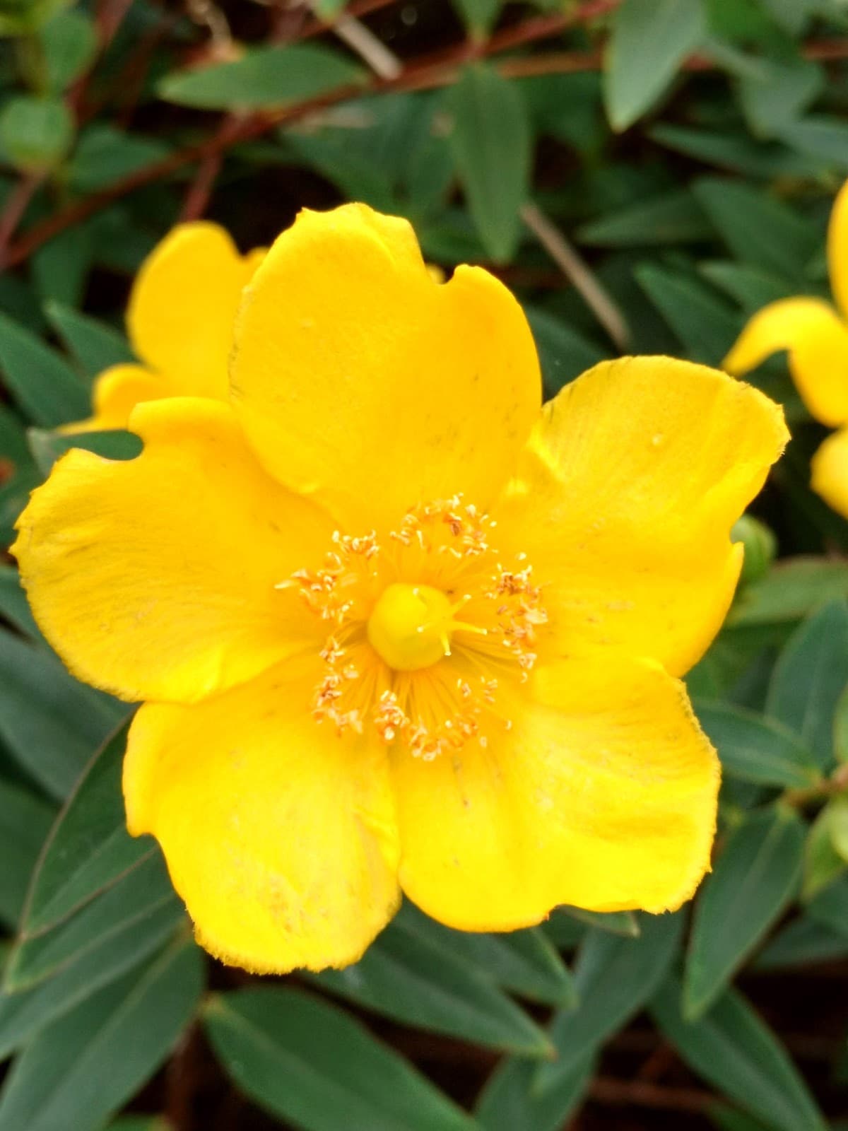 St Margarets - Image 1