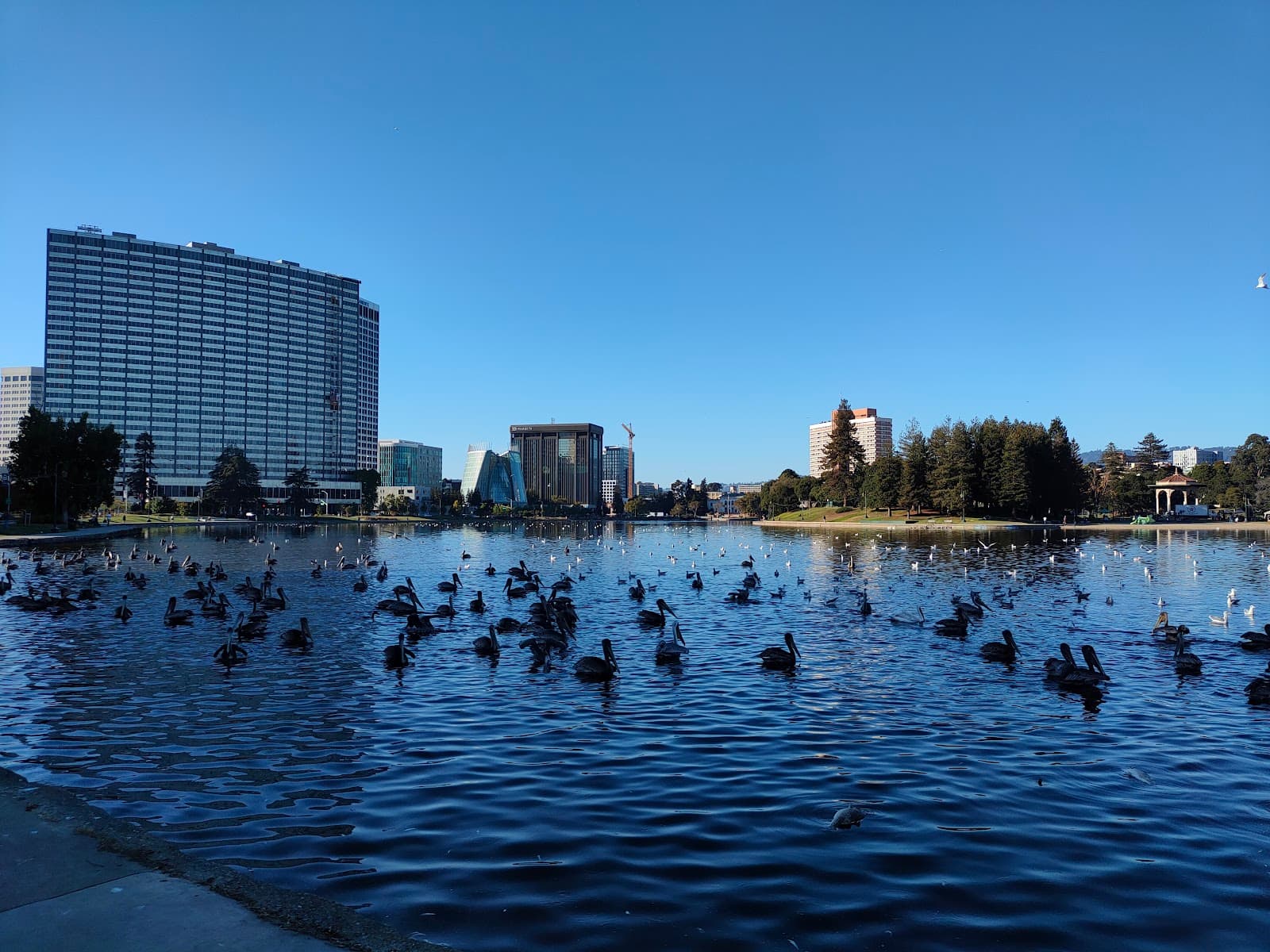 Oakland San Francisco - Image 1