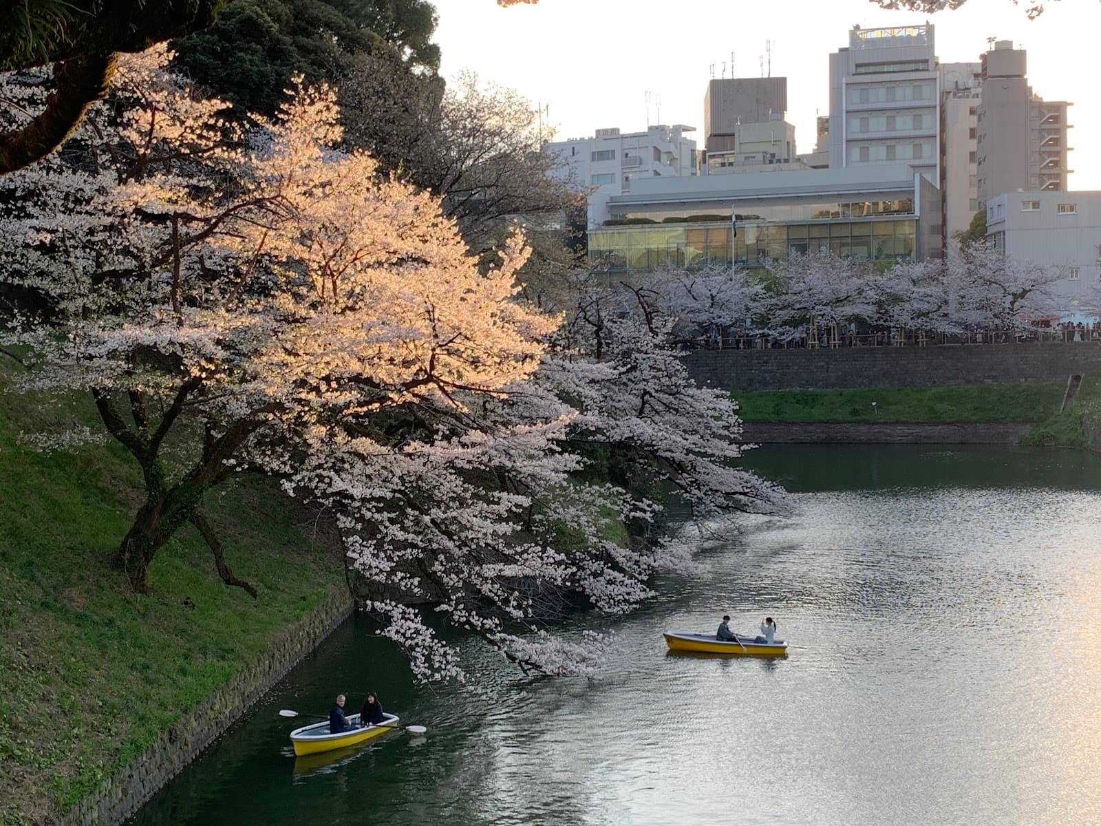 Shakujii River Greenway (Kita) - Image 1