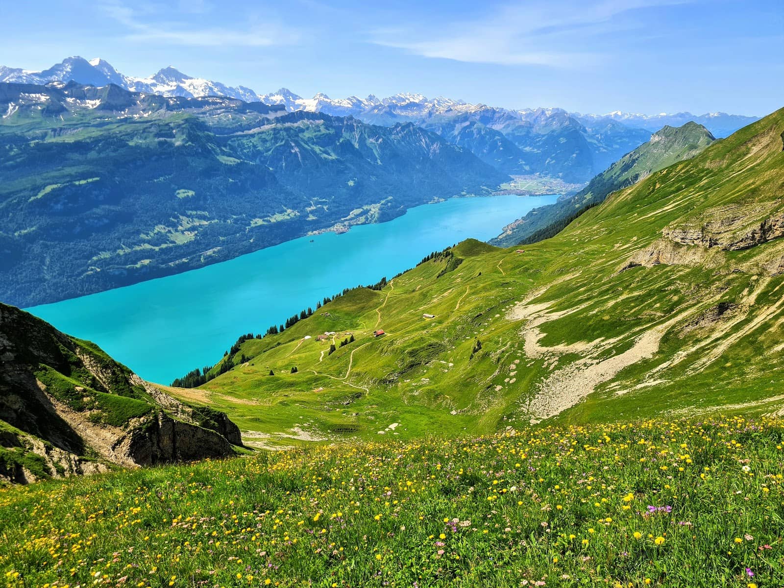Harder Kulm Viewpoint