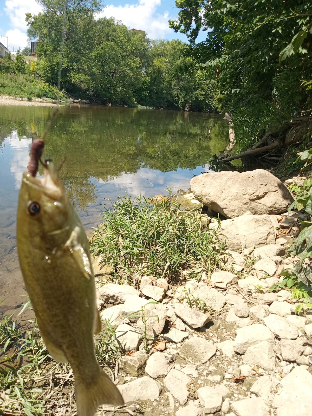 West 8th Street Bridge - Image 1