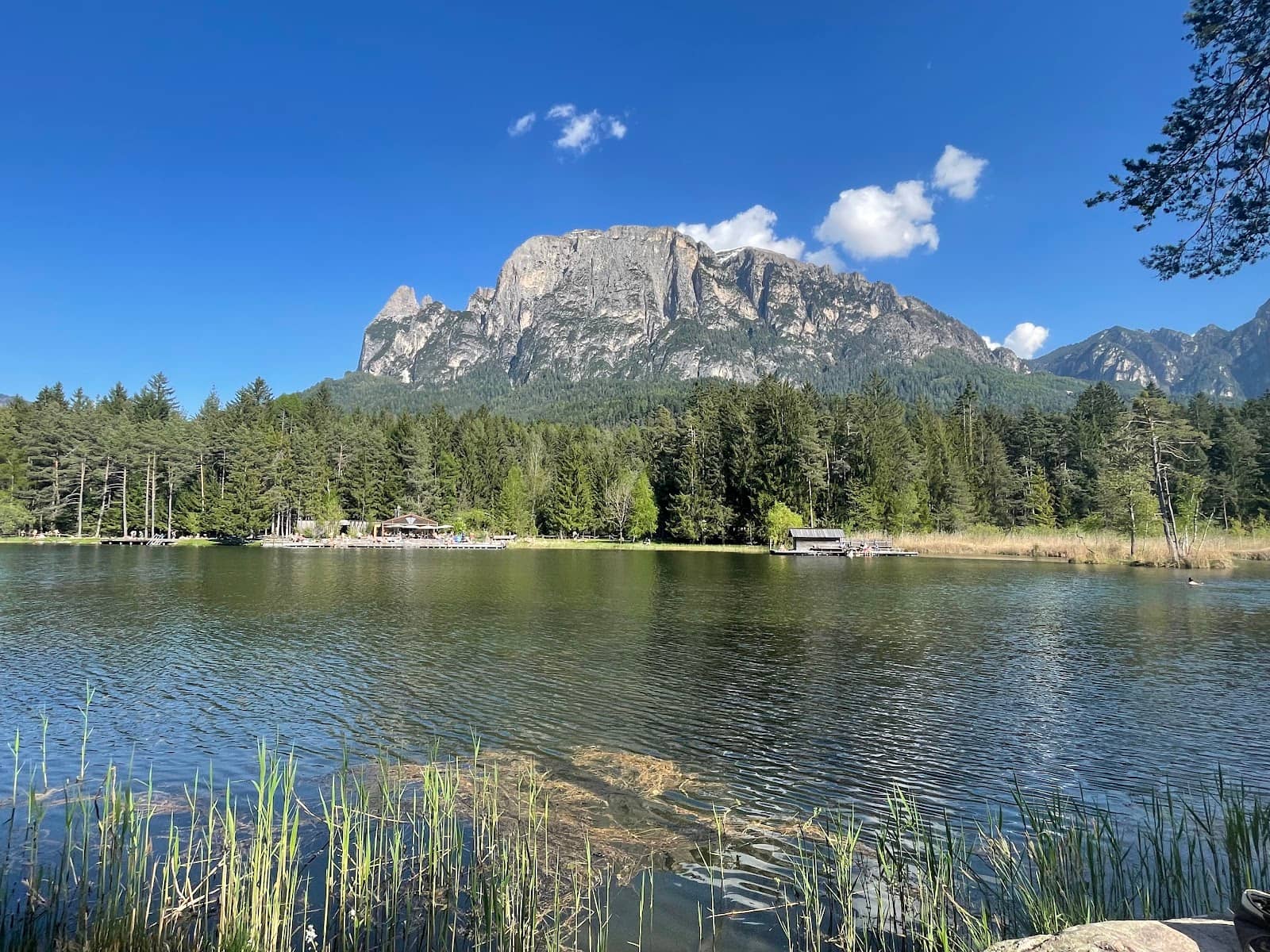 Family-Friendly Atmosphere