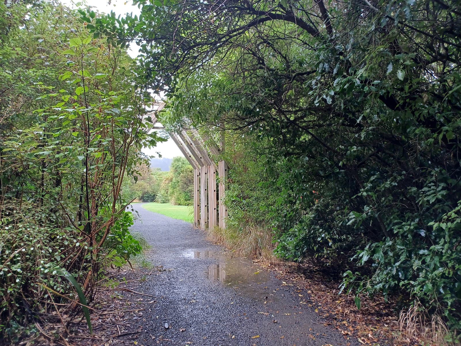 Woodhaugh Gardens - Image 1