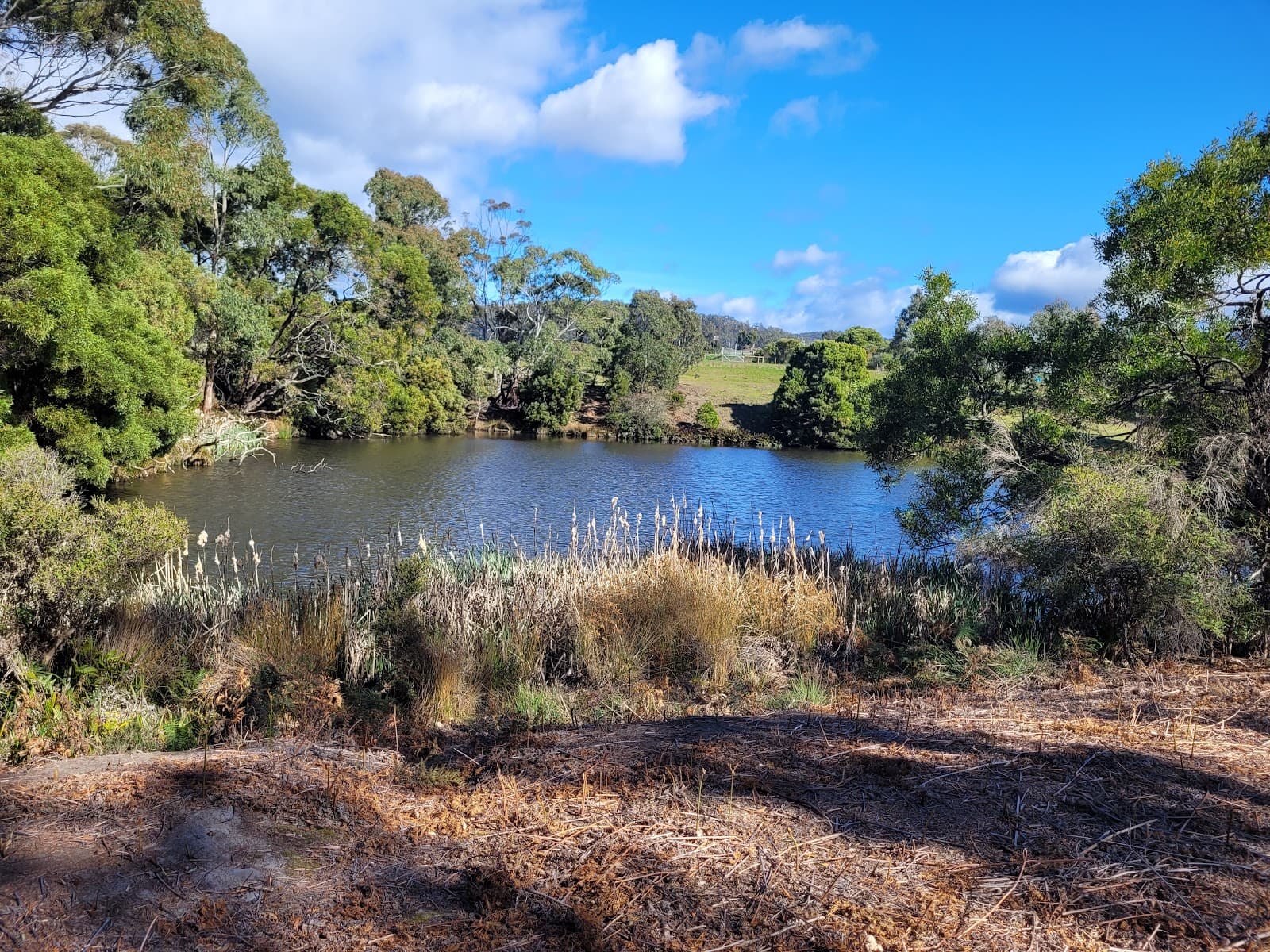 Peter Murrell Reserve - Image 1