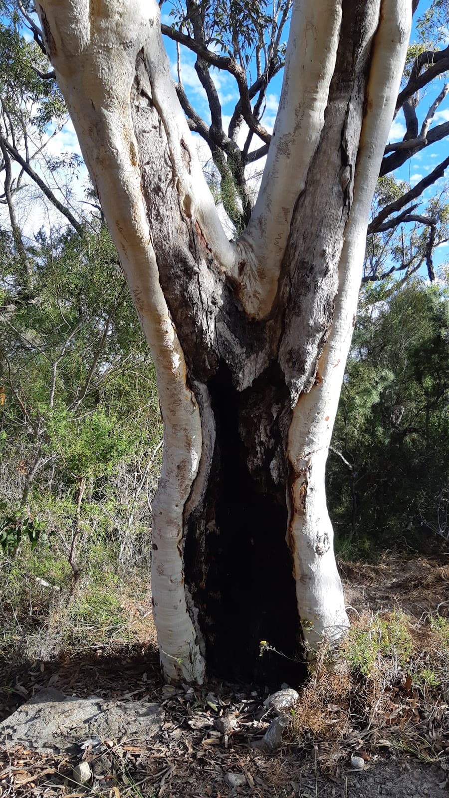 West Head Road, Ku-ring-gai Chase National Park NSW 2084, Australia - Image 1