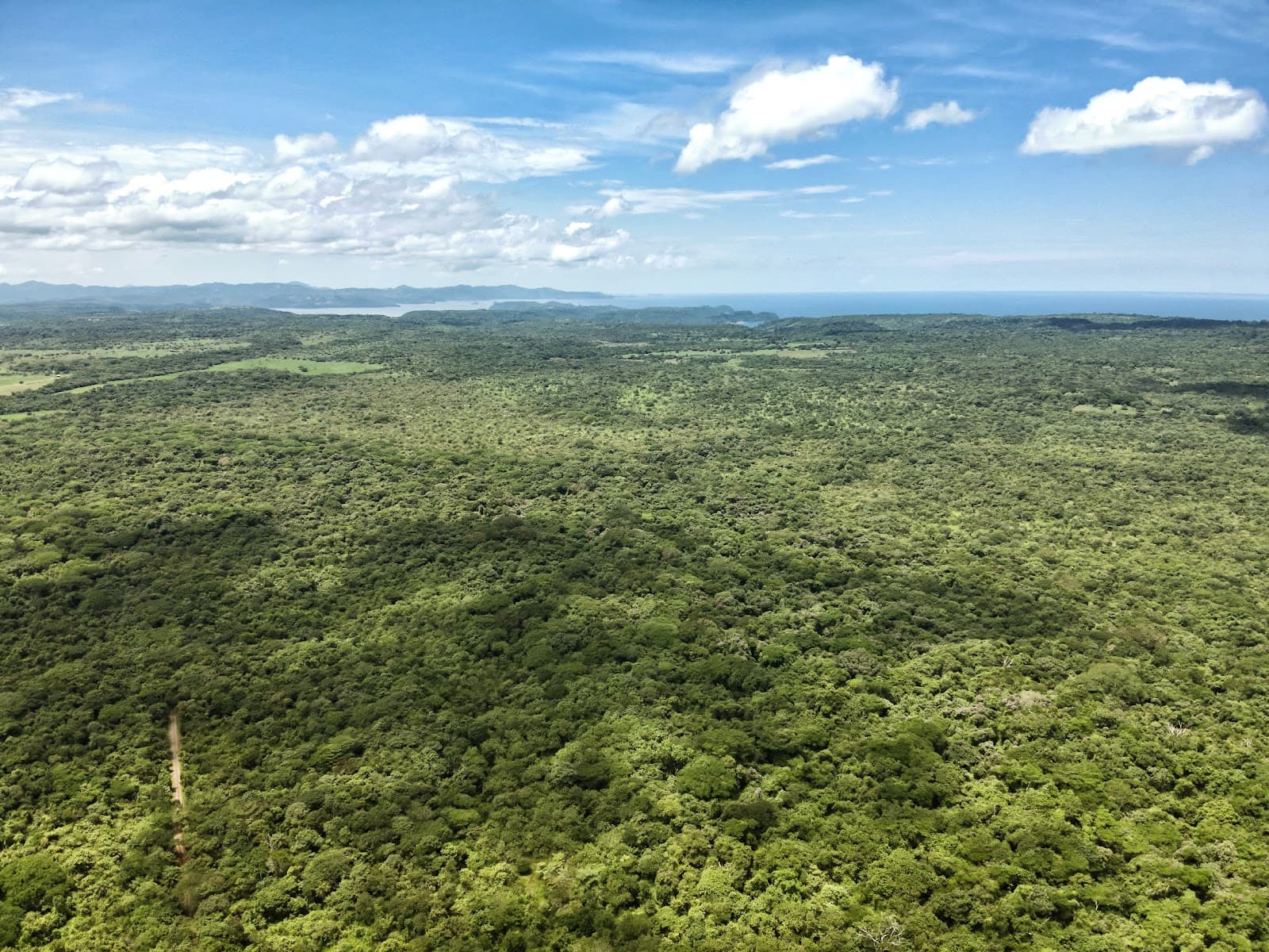 Horizontes Experimental Forest Station - Image 1