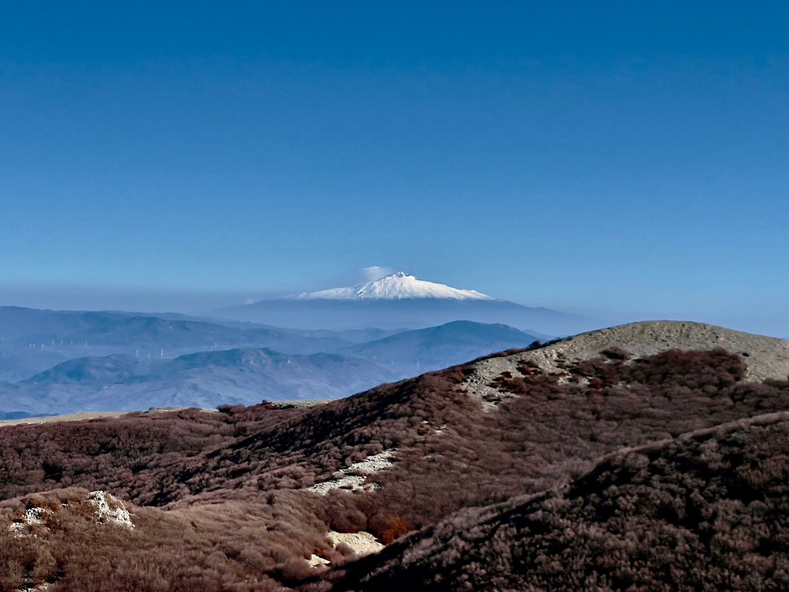 Pizzo Carbonara - Image 1