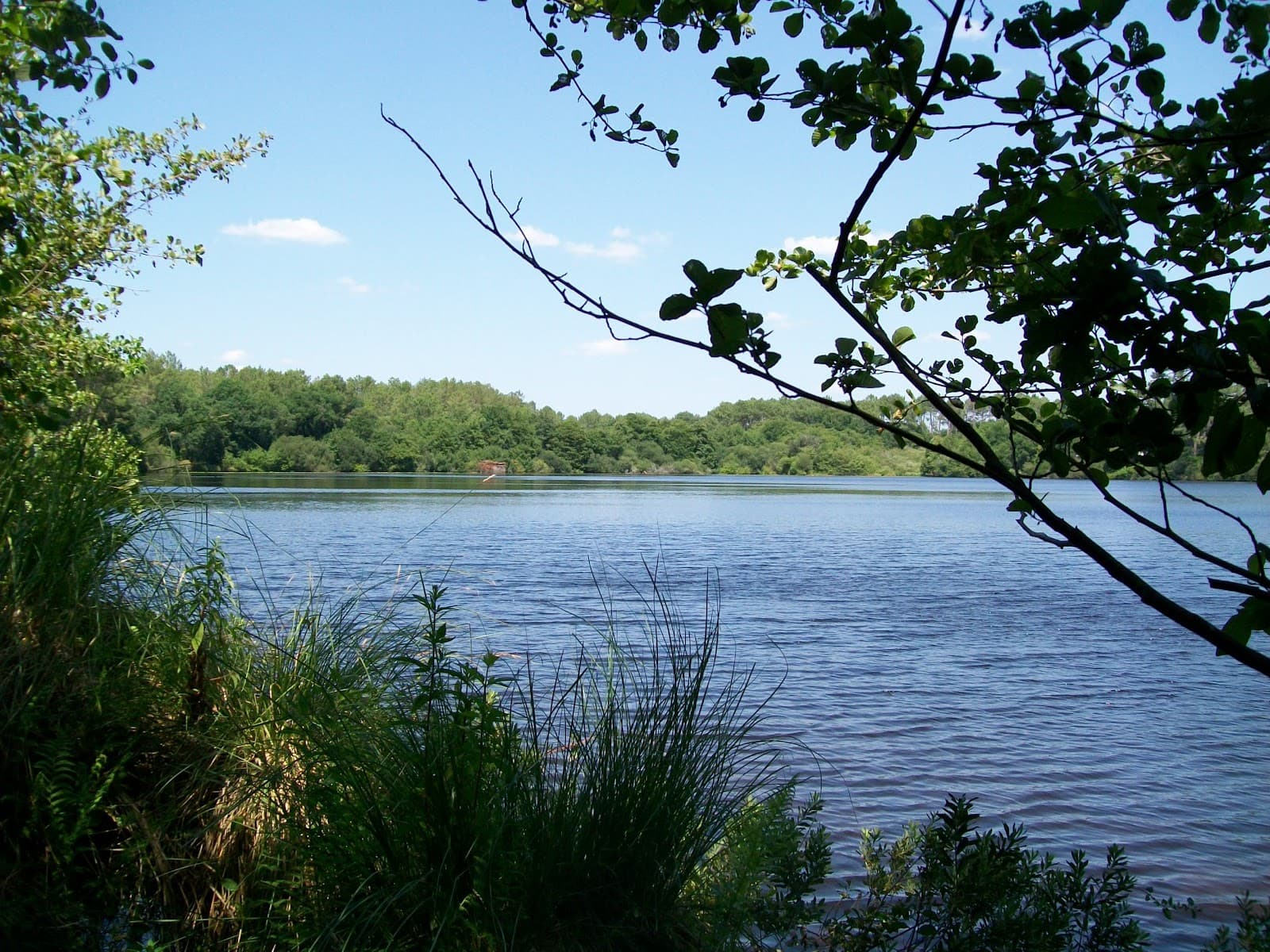 Étang de la Prade - Image 1