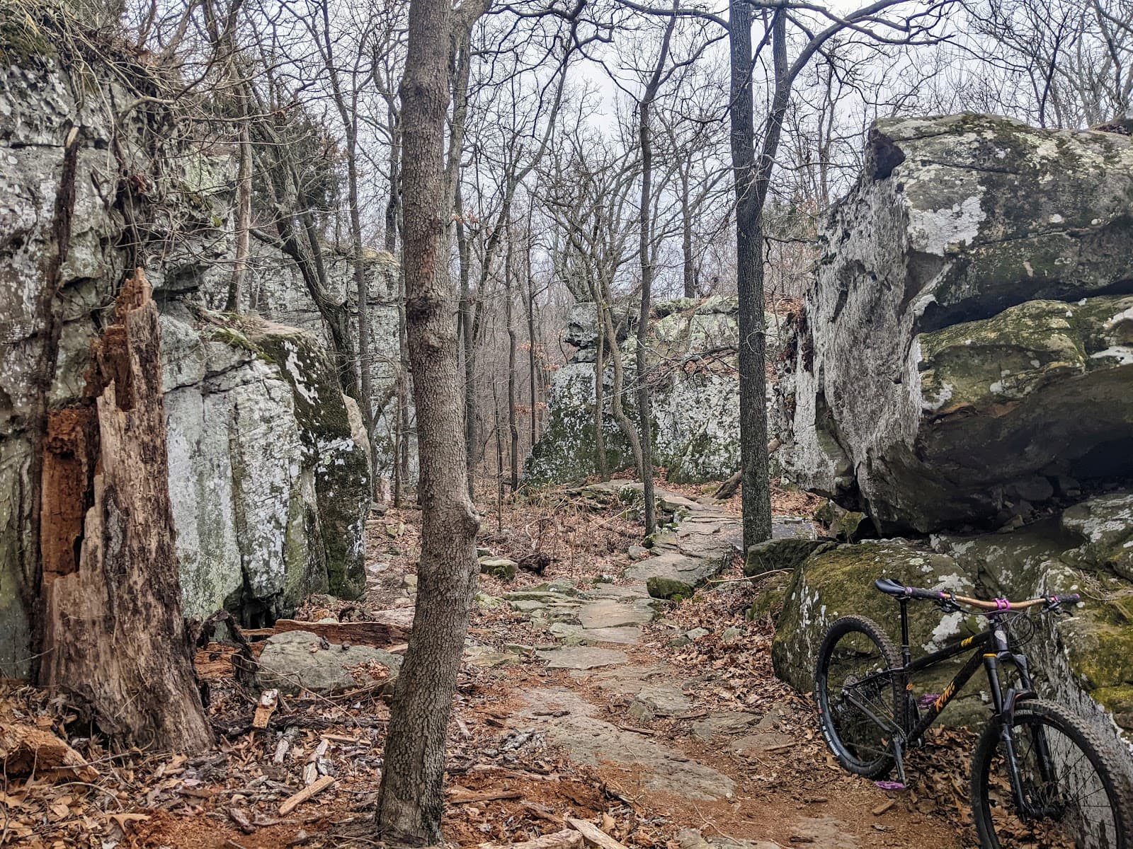 Fitzgerald Mountain Trails - Image 1