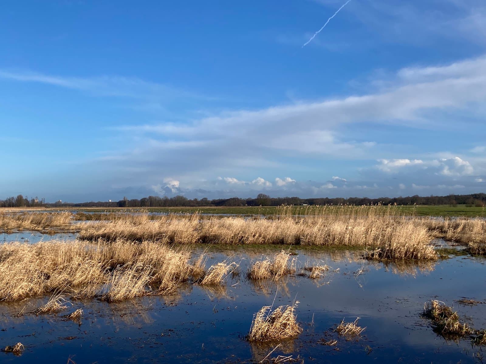 De Onlanden Nature Reserve - Image 1