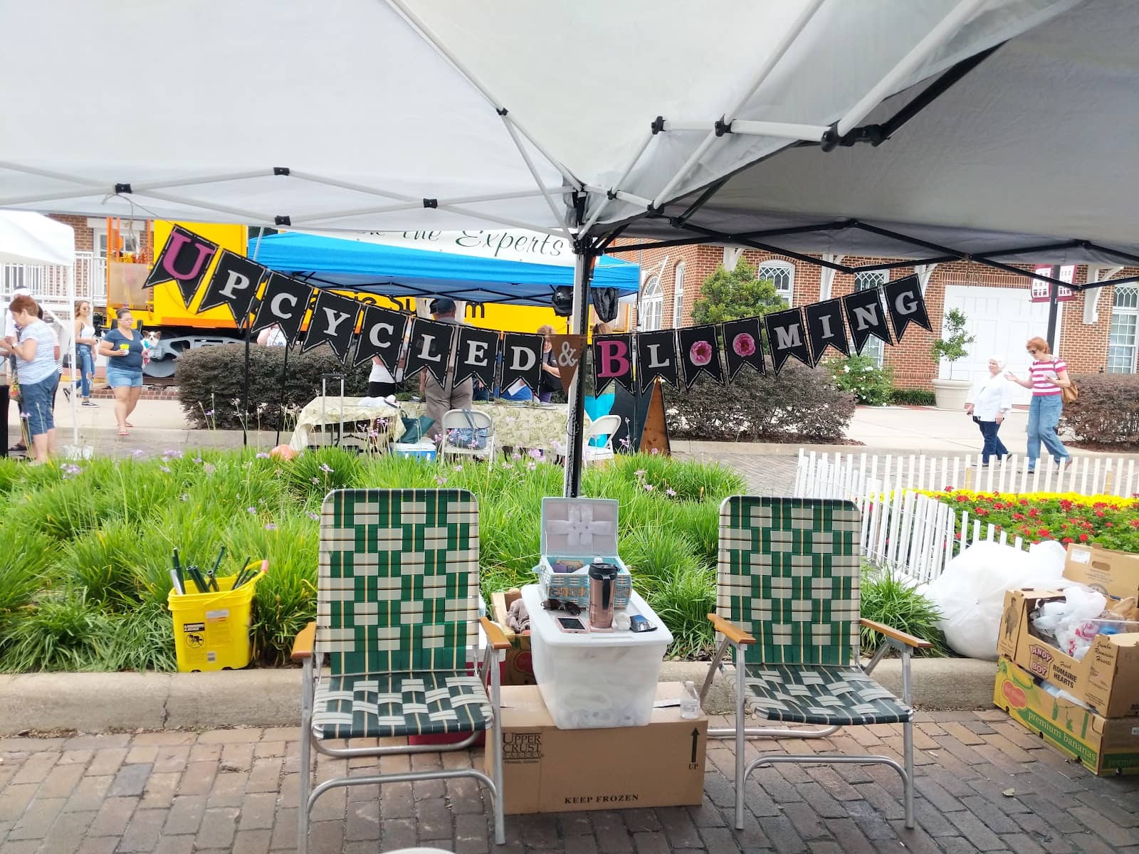 Live Music & Family Fun