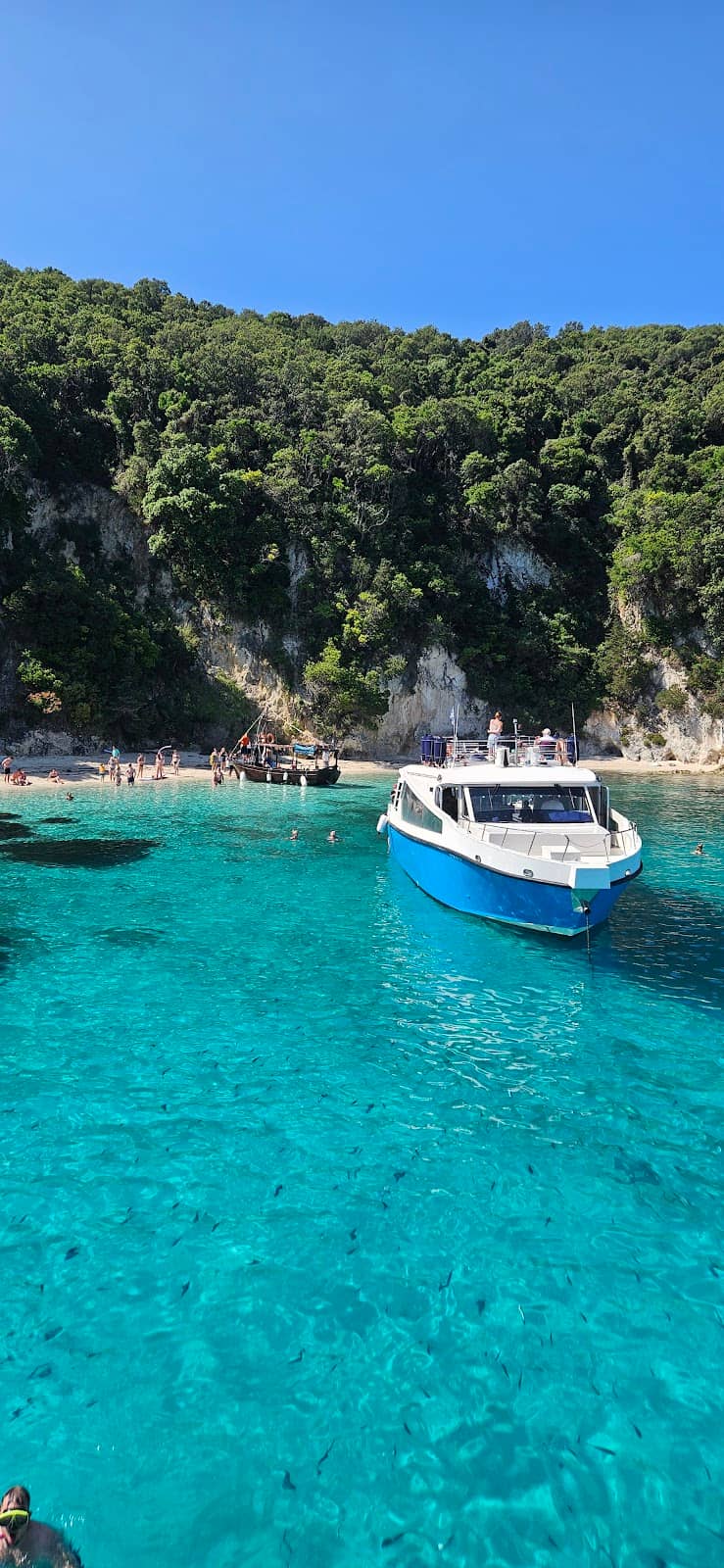 Paxos and Antipaxos Views