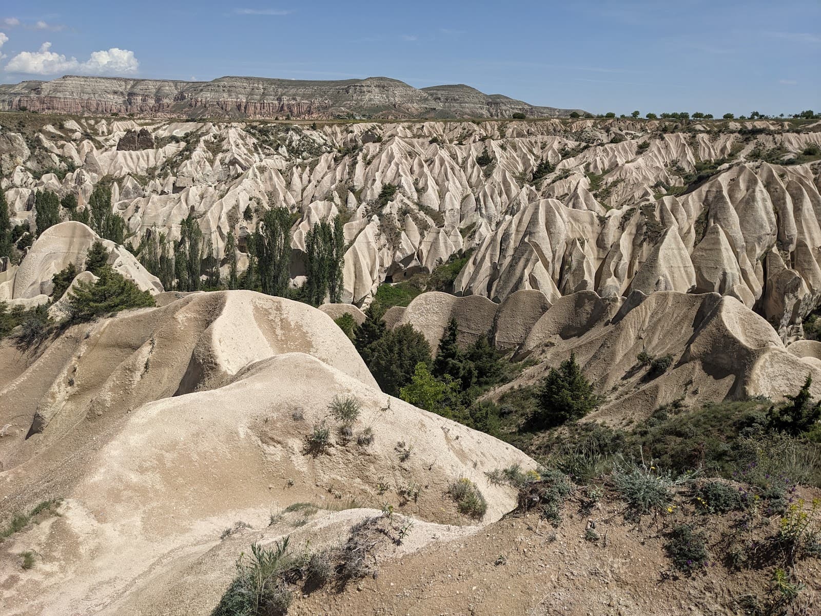Meskendir Valley - Image 1