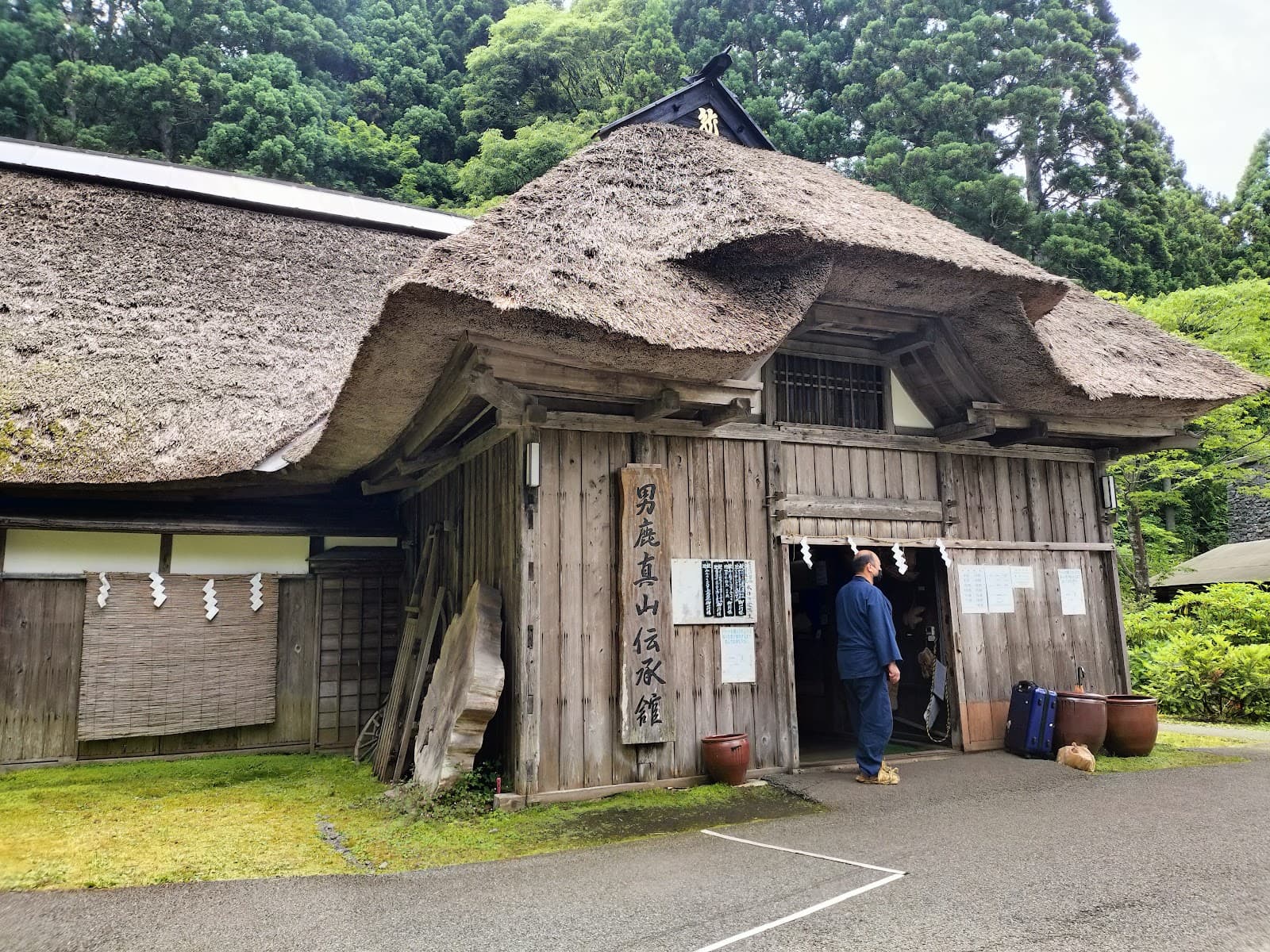 Shinzan Cedar Grove - Image 1