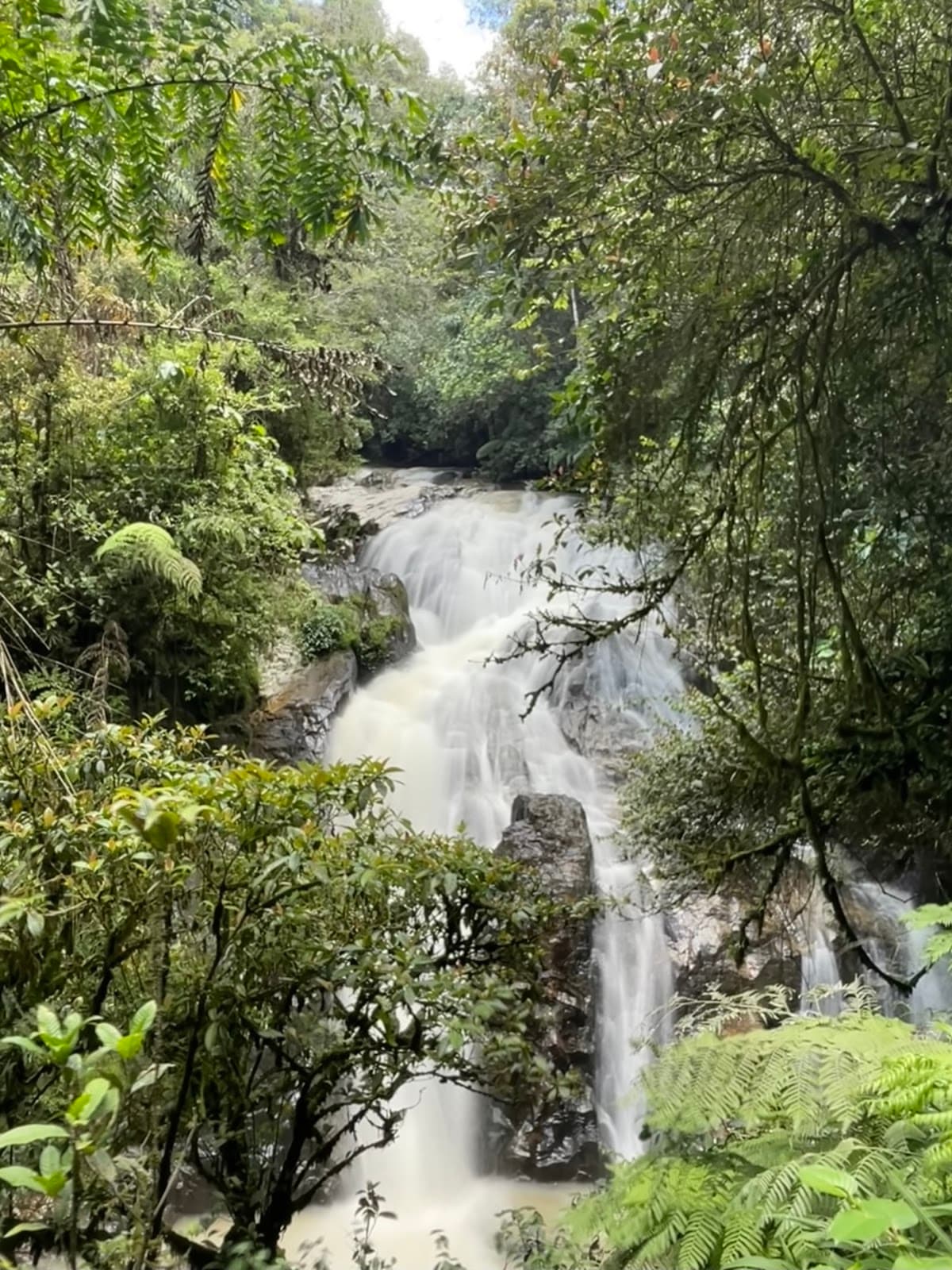 Robinson Falls - Image 1