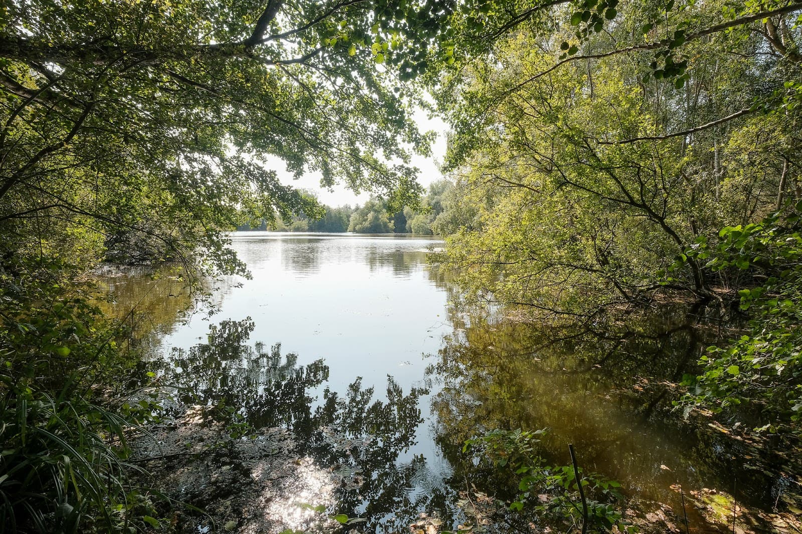 Denham Lock Wood - Image 1