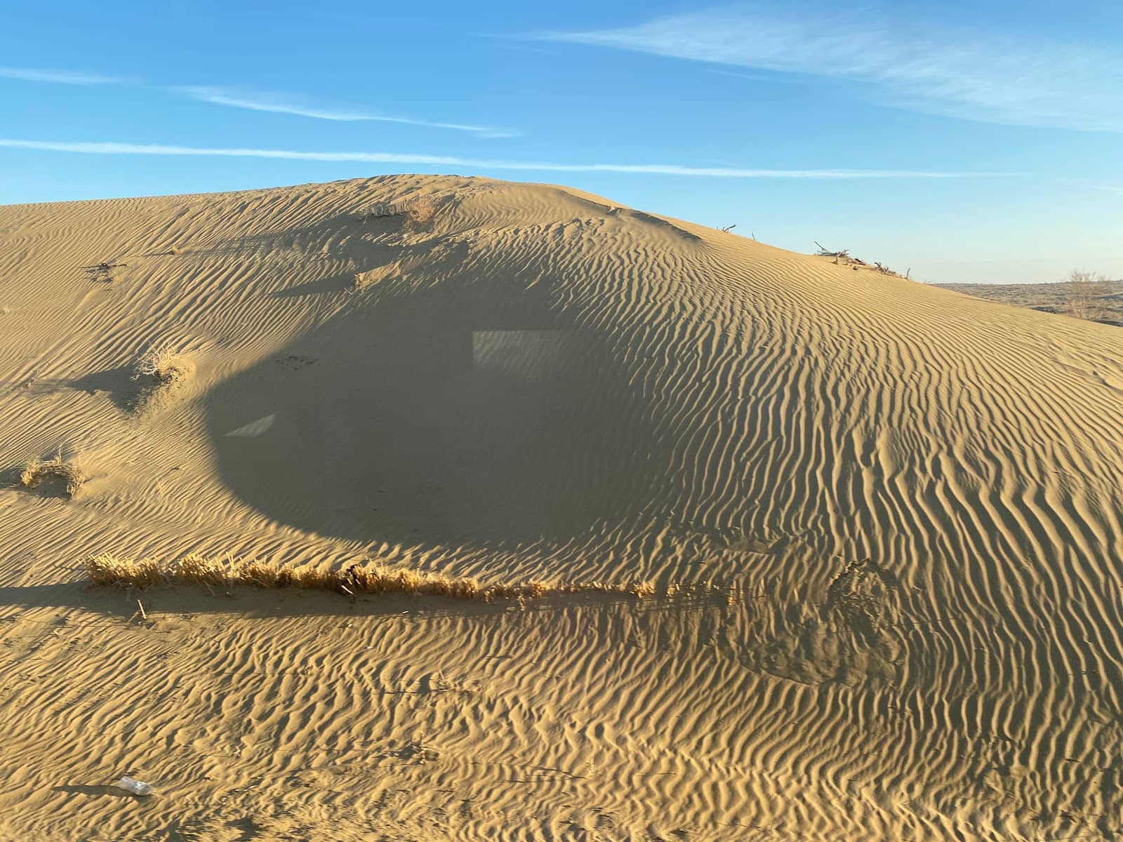 Desert Safaris