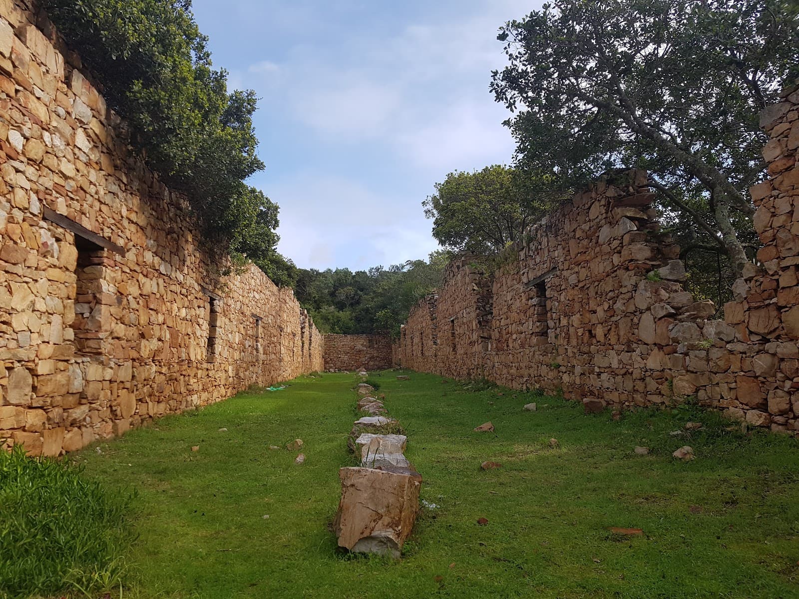Old Timber Shed - Image 1