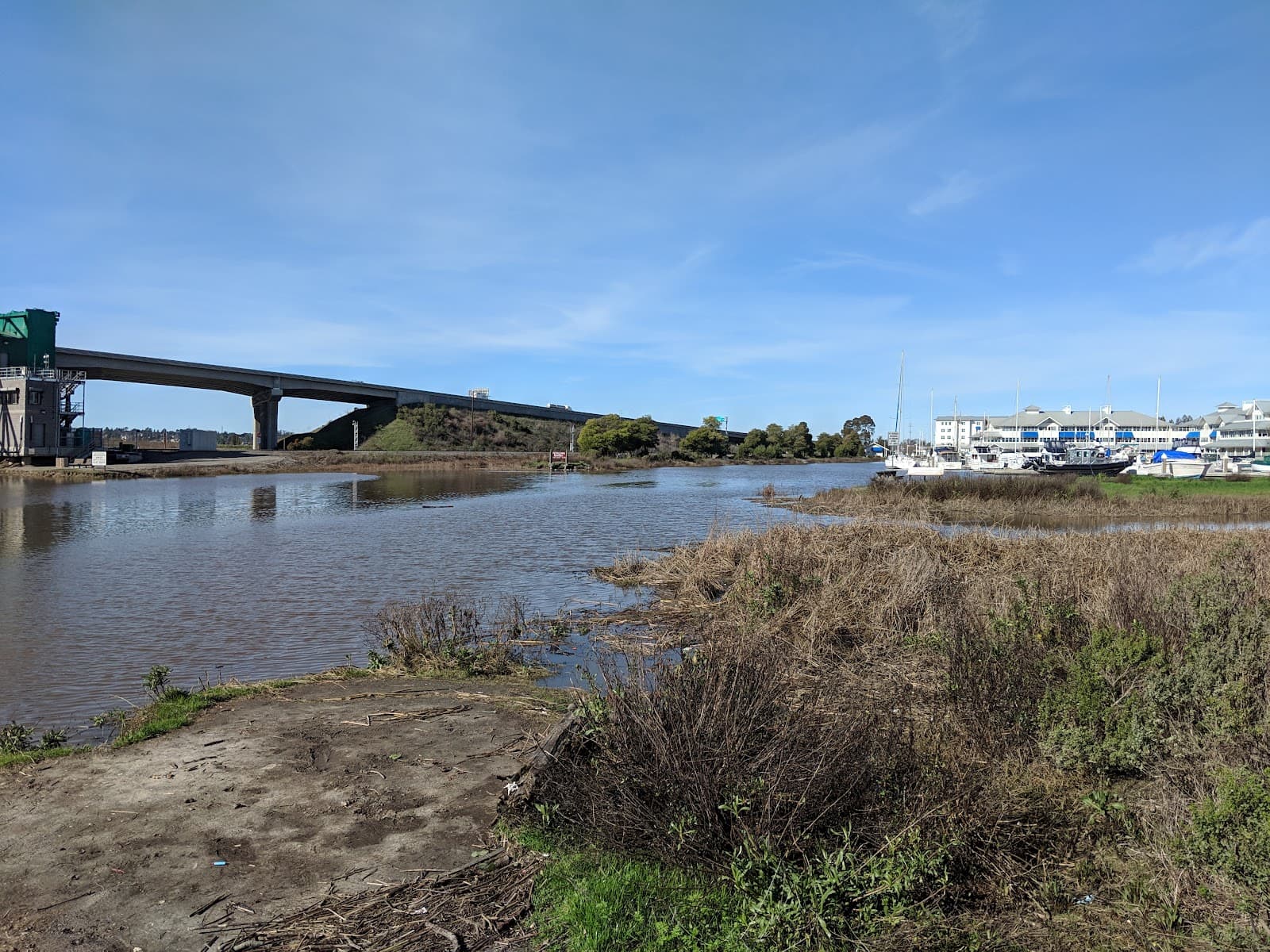 Alman Marsh - Image 1