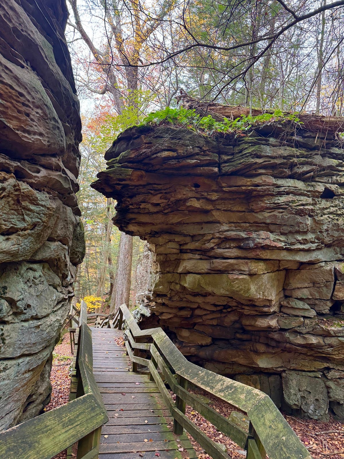 Beartown State Park - Image 1