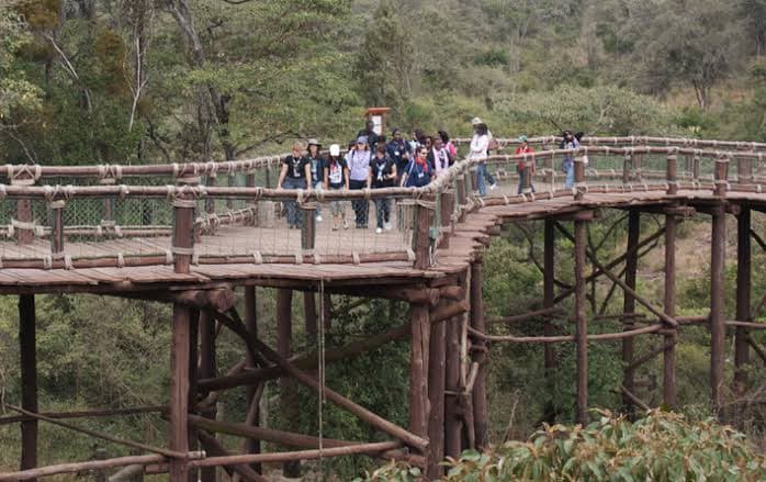 Nairobi Safari Walk - Image 1